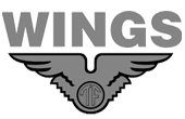 PT Wings Surya Indonesia